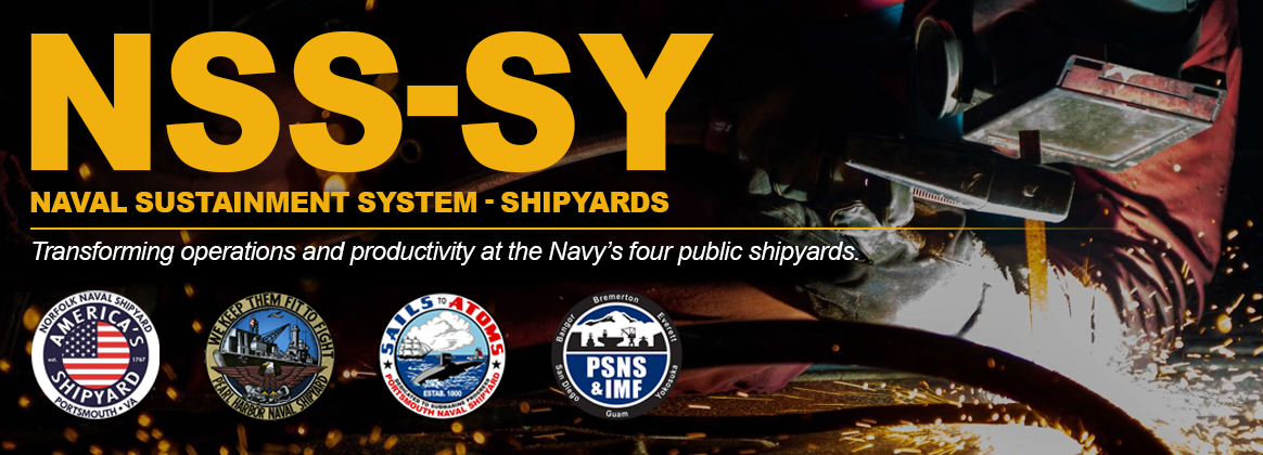 NSS-SY header graphic